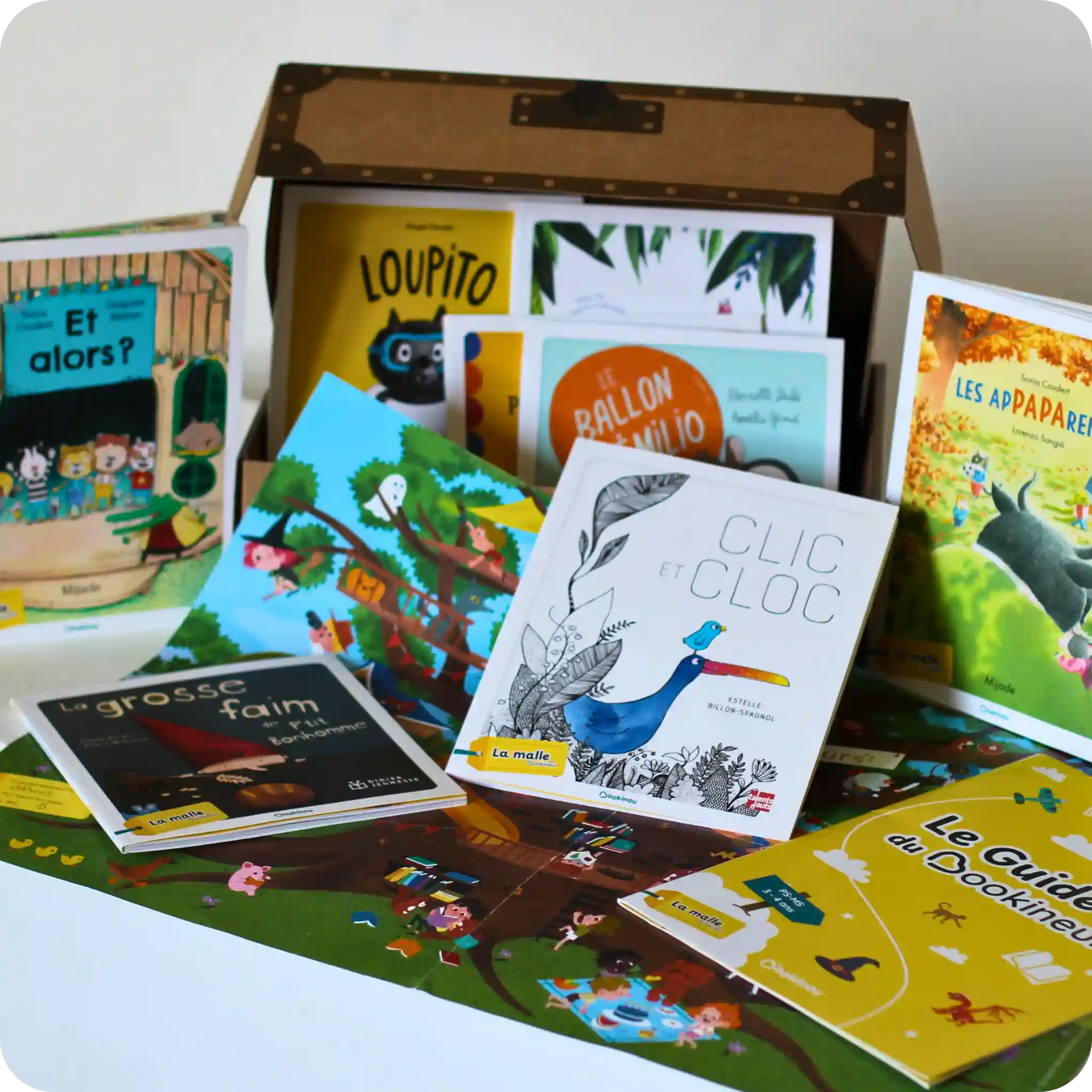 Sélection de livres pour la malle du bookineur