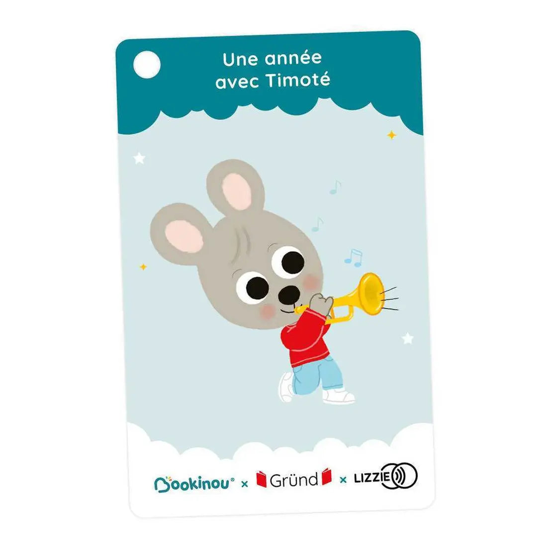 Une année avec Timoté - 5 histoires de Lizzie